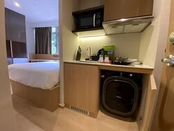 Mount Elizabeth Link (D9), Condominium #497013811